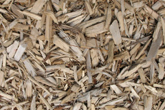biomass boilers Arrathorne